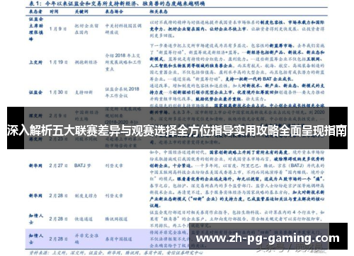深入解析五大联赛差异与观赛选择全方位指导实用攻略全面呈现指南