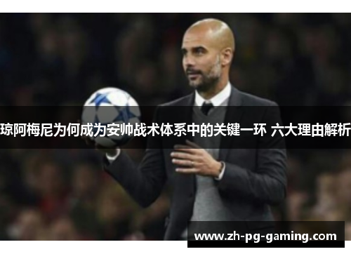 琼阿梅尼为何成为安帅战术体系中的关键一环 六大理由解析